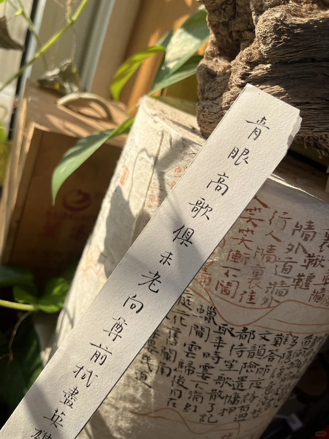 你们相信光吗