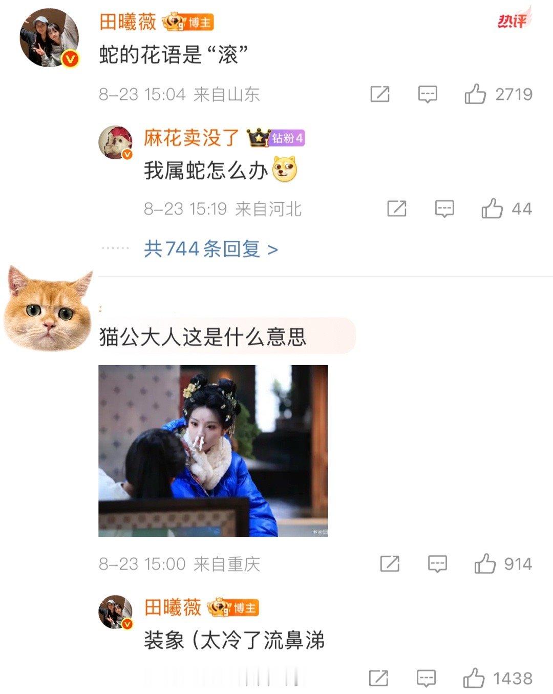 田曦薇说蛇的花语是滚哈哈哈哈哈哈哈田曦薇要颜值有颜值要抽象也是真的很抽象了田曦说