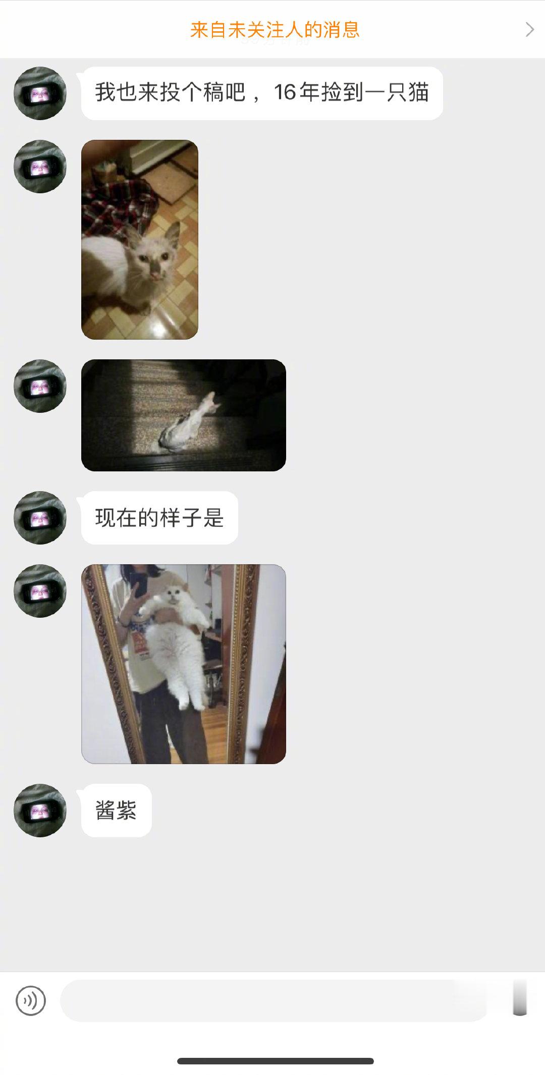 粉丝投稿：16捡到的一只猫和现在的对比照，这位网友真的是很有爱了！[太开心]（v