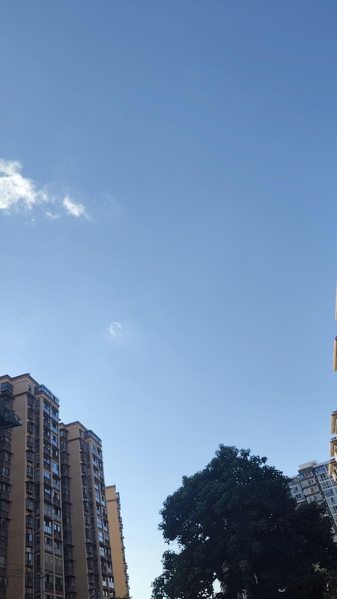 2026最想实现的一件事