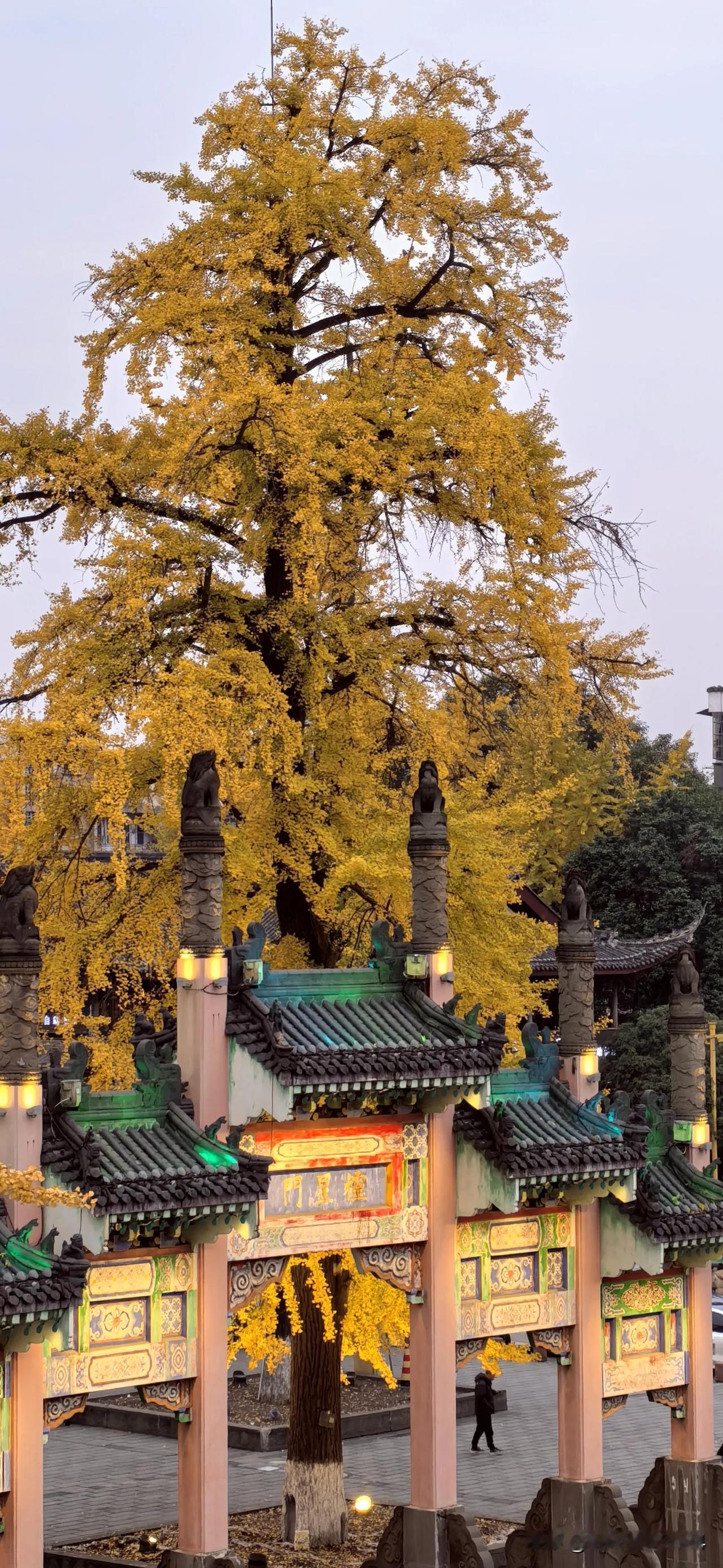 初冬的美景
这张美丽的照片，就是在这里拍摄的。位置已经为你标注好了，等待你来打卡