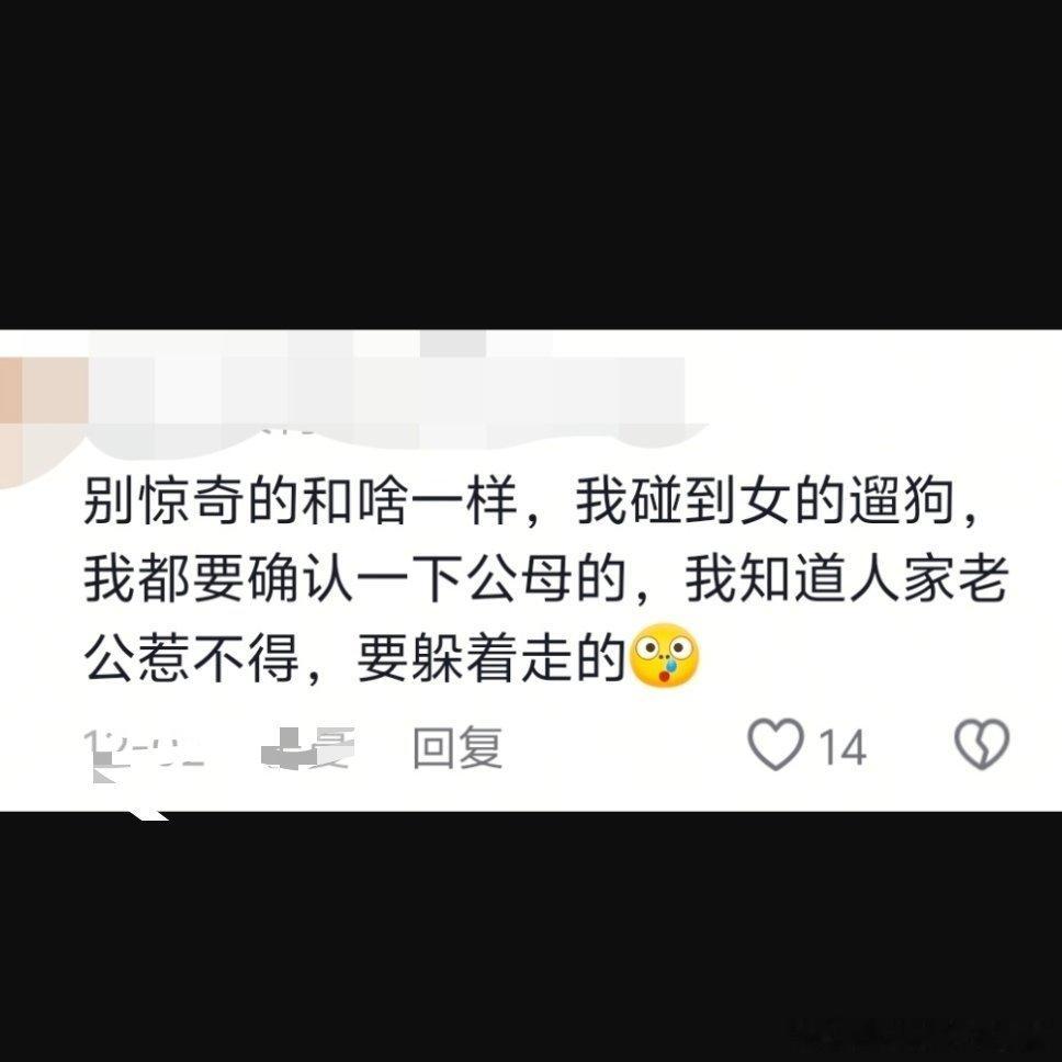 我就说养狗可以辟邪吧2102 
