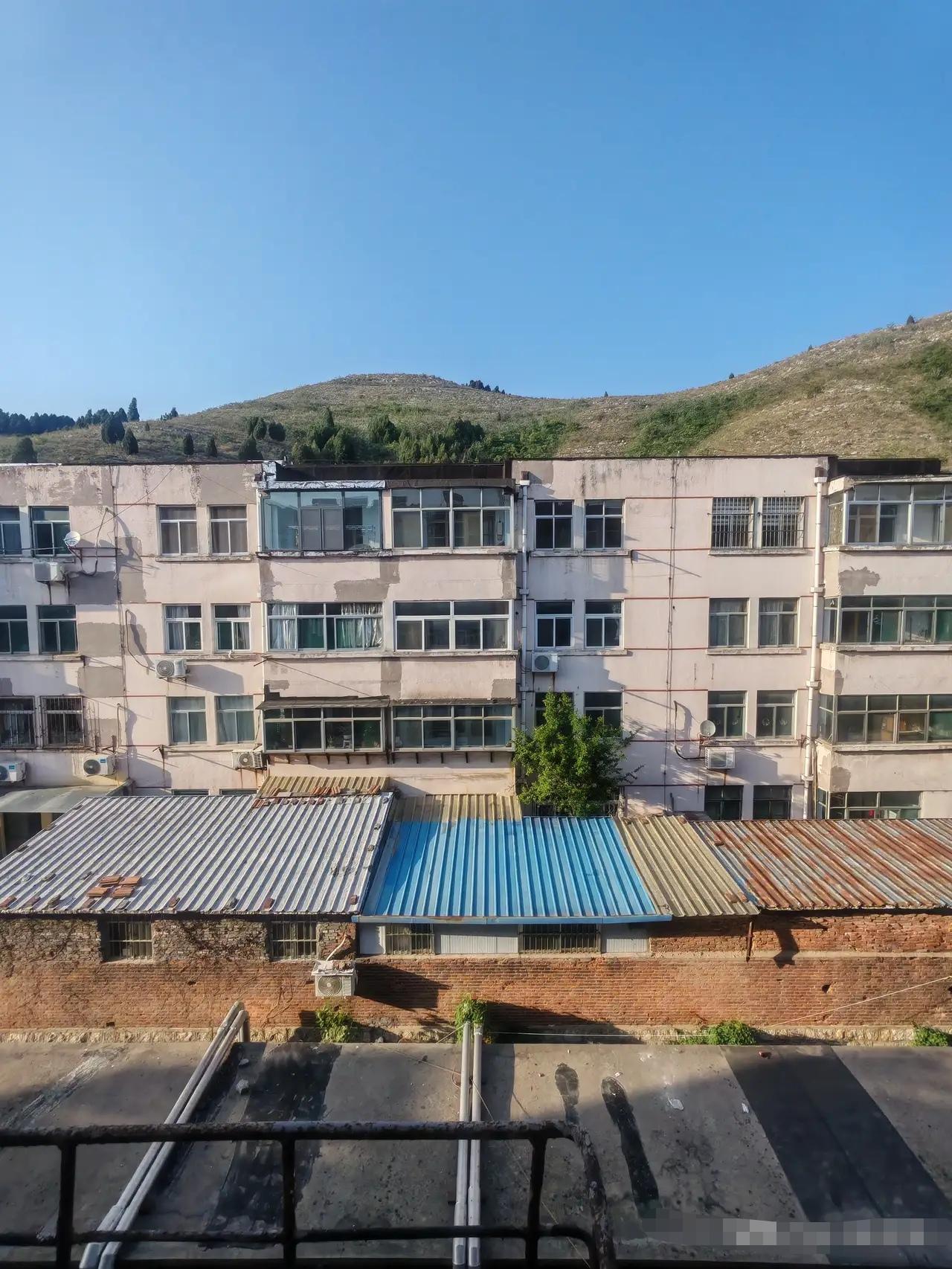 收到。

那就不多说。

两枚硬币，并排，在桌上，不响。

太阳照常升，花照常开