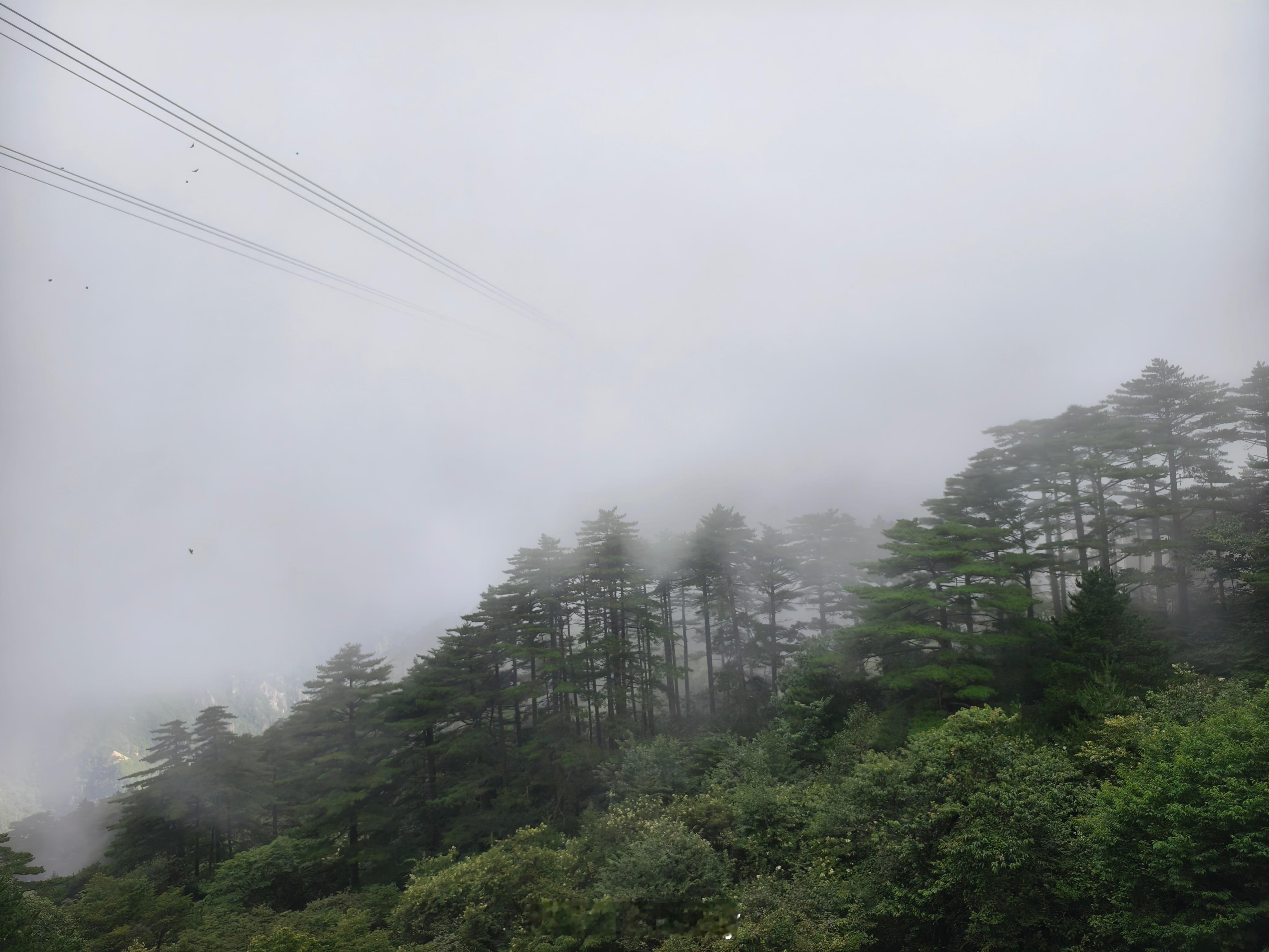小伙伴说还没开始爬坐了个索道就觉得秒杀五岳了（五岳他已逛完）  ​​​