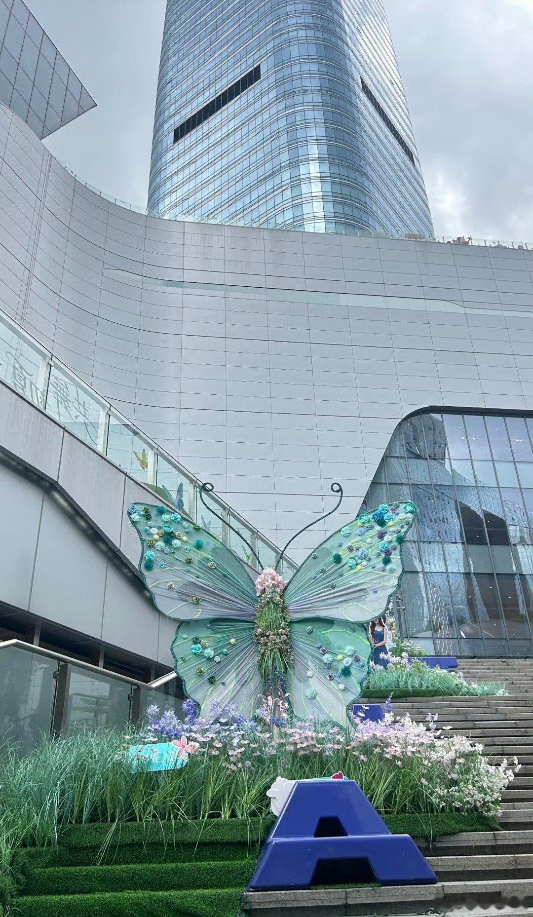 广州街头的巨型蝴蝶夯爆了广州街头巨型蝴蝶花海，路过根本走不动道，随手拍都是氛围感