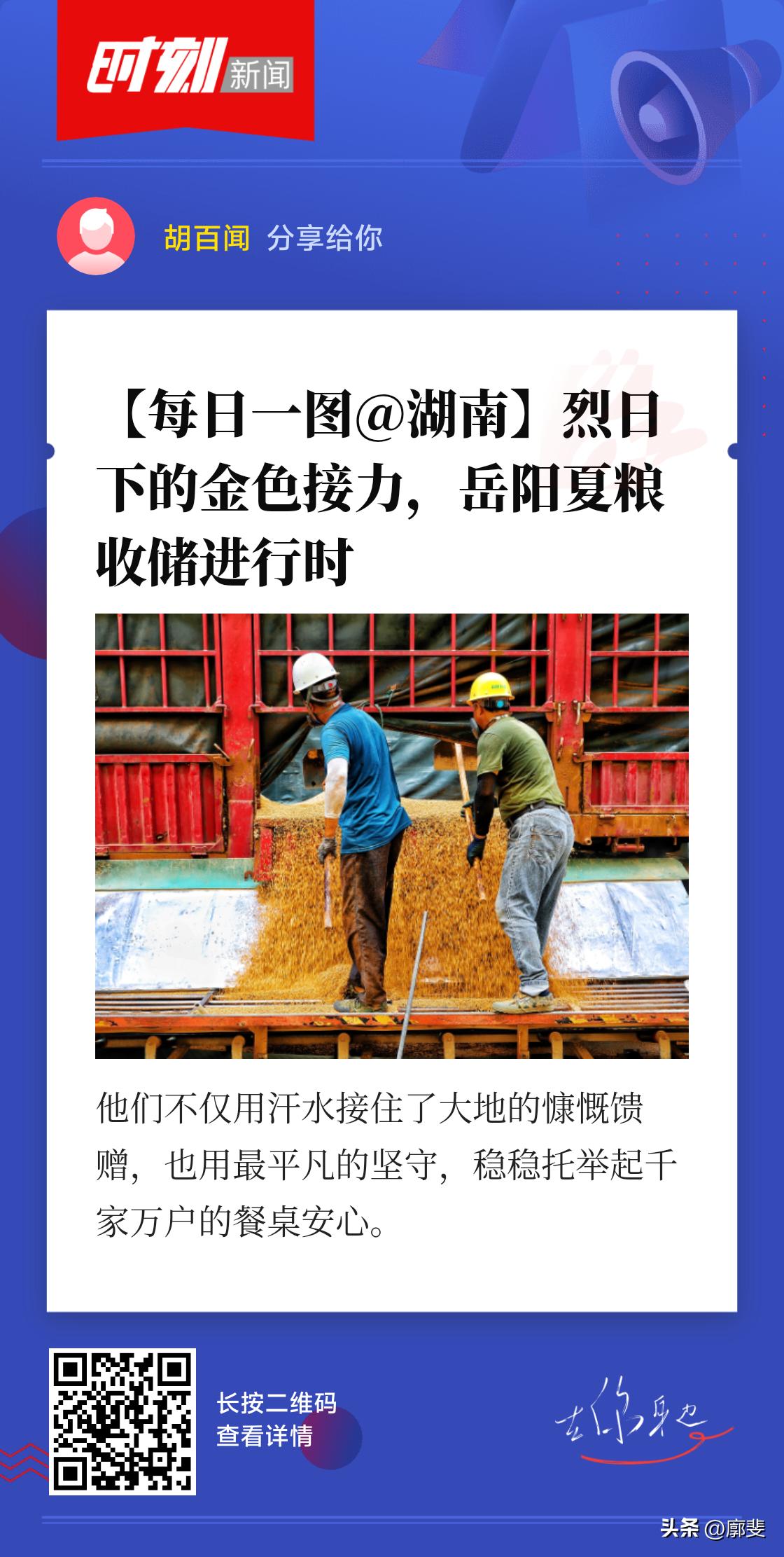 7月29日，盛夏的骄阳下，岳阳市岳阳县荣家湾粮库被滚烫的收获气息填满。满载金色稻