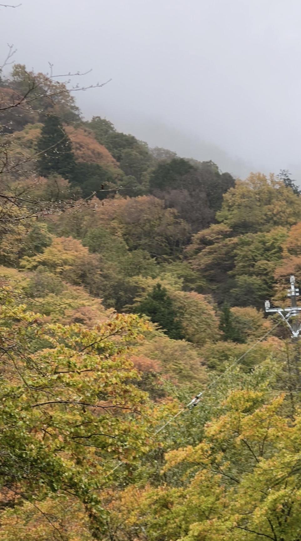 冬日生活打卡季