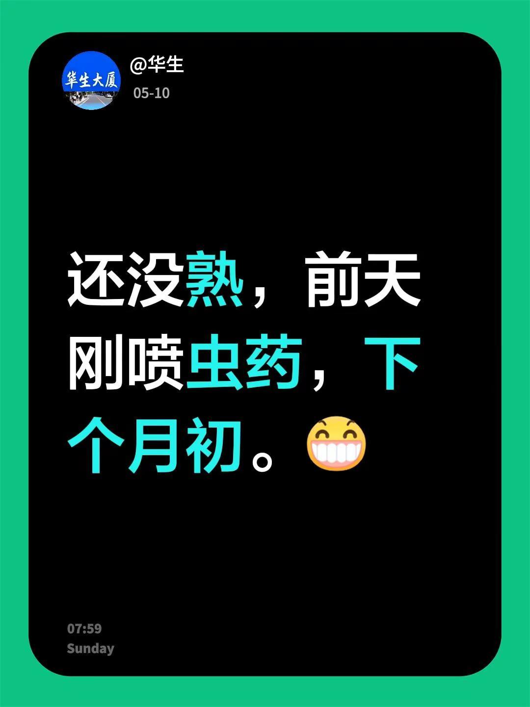 我回复了@南瓜小米周女士 的评论：还没熟，前天刚喷虫药，下个月初。