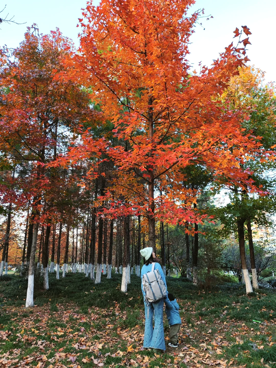 三墩镇📍小区旁的公园美到失语...可露营