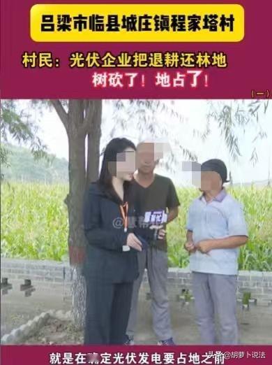 山西吕梁出事了！村民自家退耕还林的山林，在完全不知情的情况下，山上树木被成片砍伐
