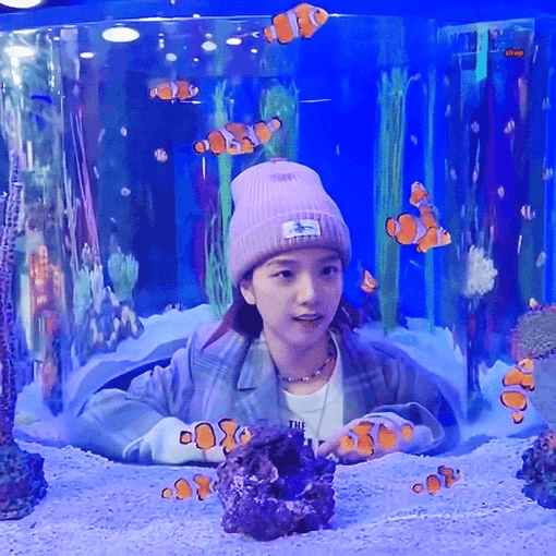 金智秀 🍂金智秀幸福指数103% 水族馆一日游的小秀秀
