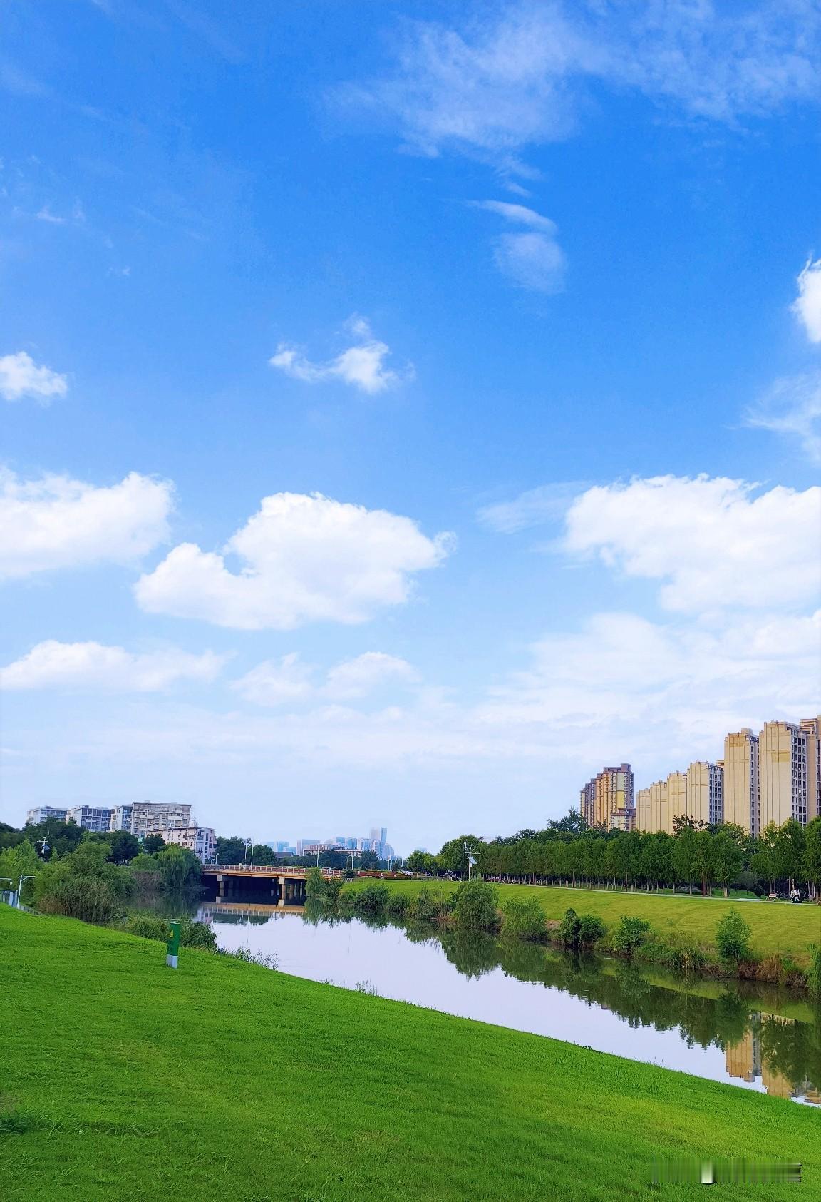 南京这天气真的太折磨人了！今天气温显示才32度，可这体感温度，绝对超过35度了。