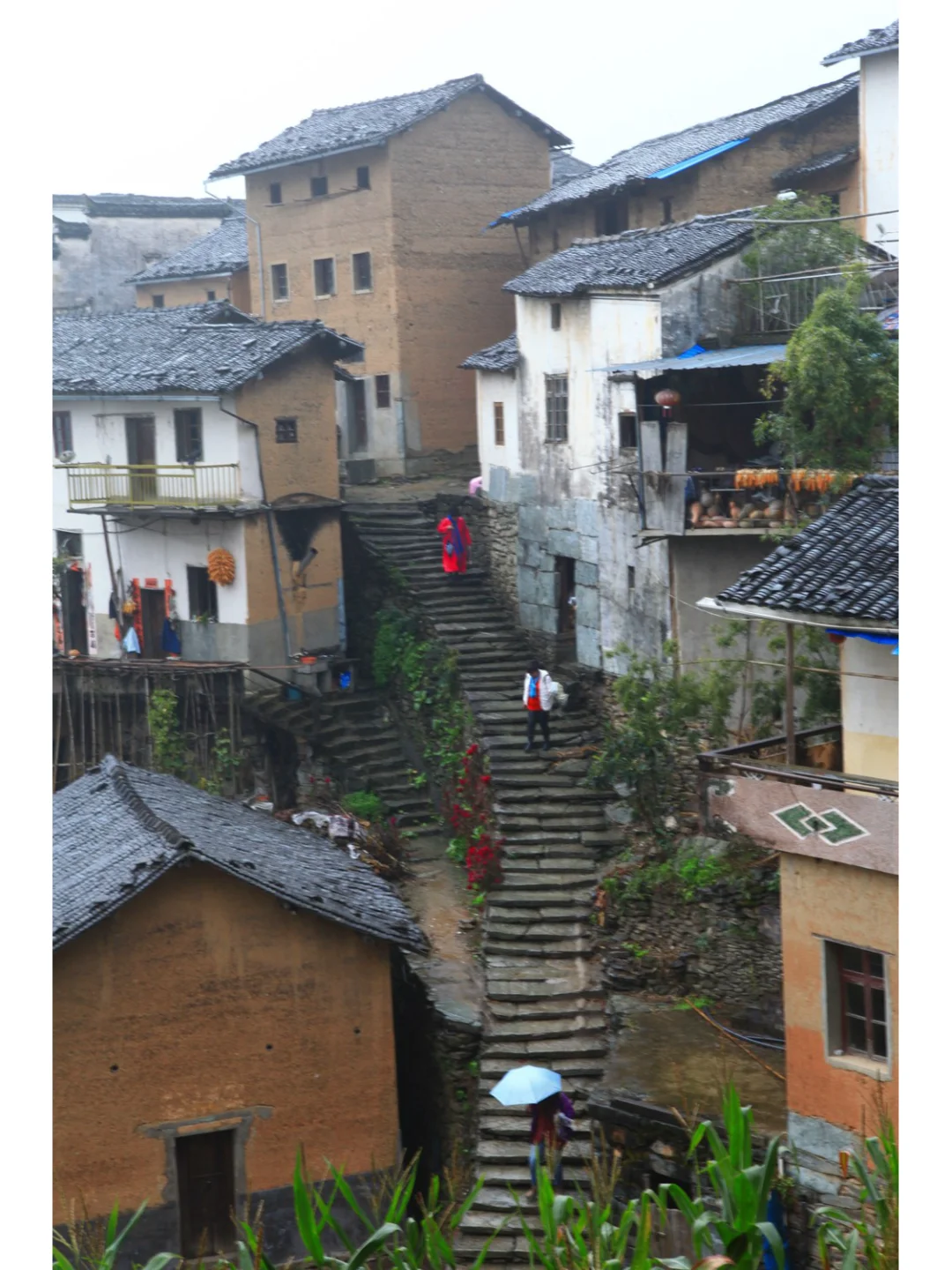 阳产土楼