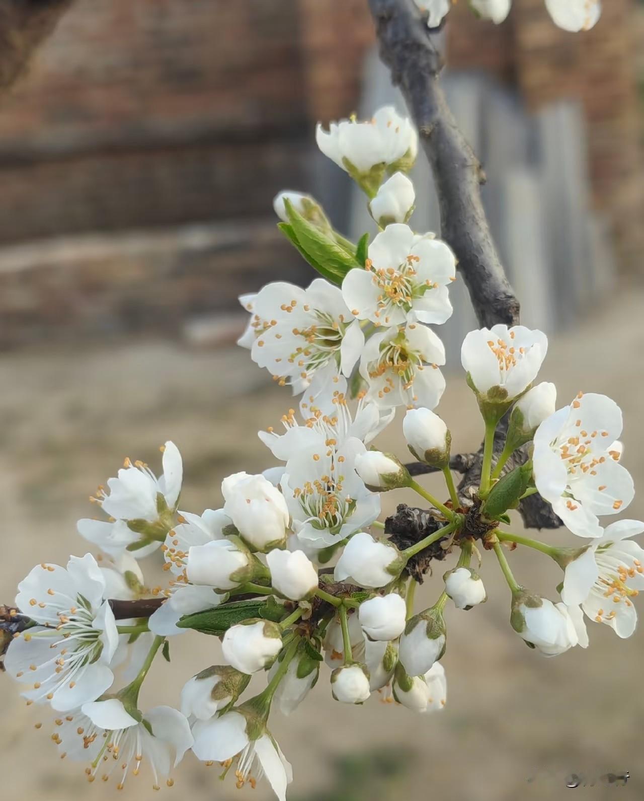我一直觉得能力比学历更重要
学历只是块敲门砖
能帮你拿到机会
可真正能让你站稳脚