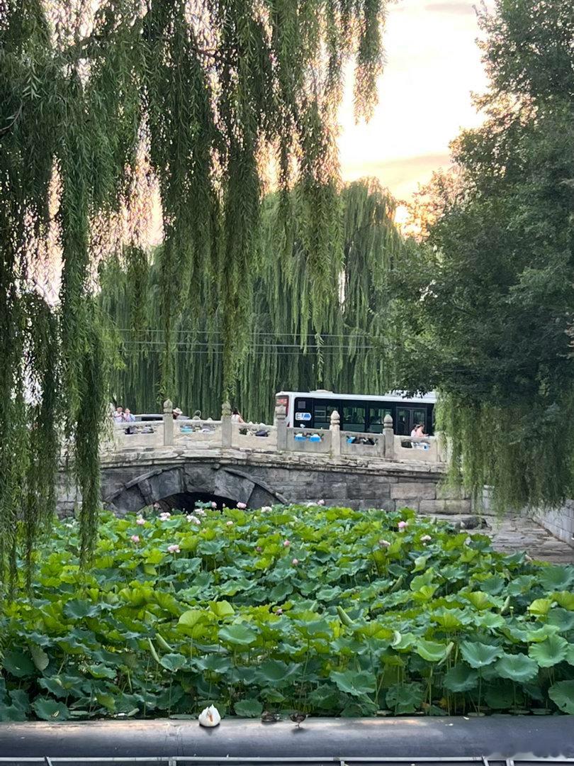 今天北京才26度，难得，到万宁桥看看我心爱的神兽，穿过热闹非凡的南锣鼓巷，在僻静