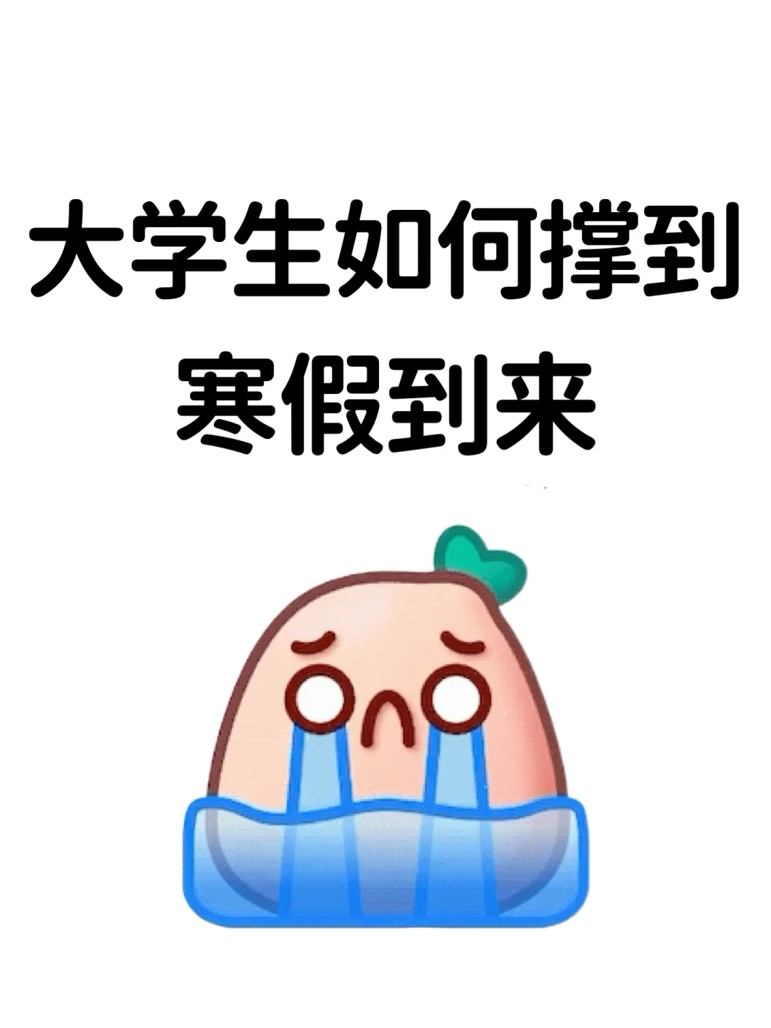 大学生如何撑到寒假到来