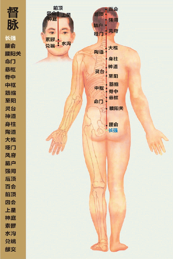 教你一个神奇的穴位，每天按一按，赶走头痛、失眠、记忆力减退！神庭穴归属督脉，有缓