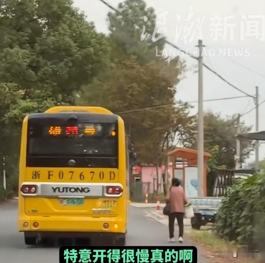 浙F07670D！请大家记住这辆公交车，并给司机师傅点赞！

10月19号，浙江