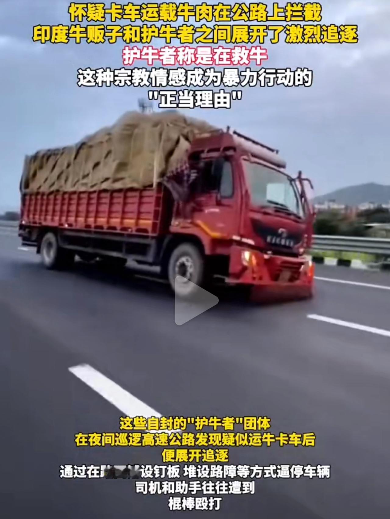真的很难理解，好好的谋生赶路，在印度居然会变成一场致命危机。就因为和牛、牛肉运输