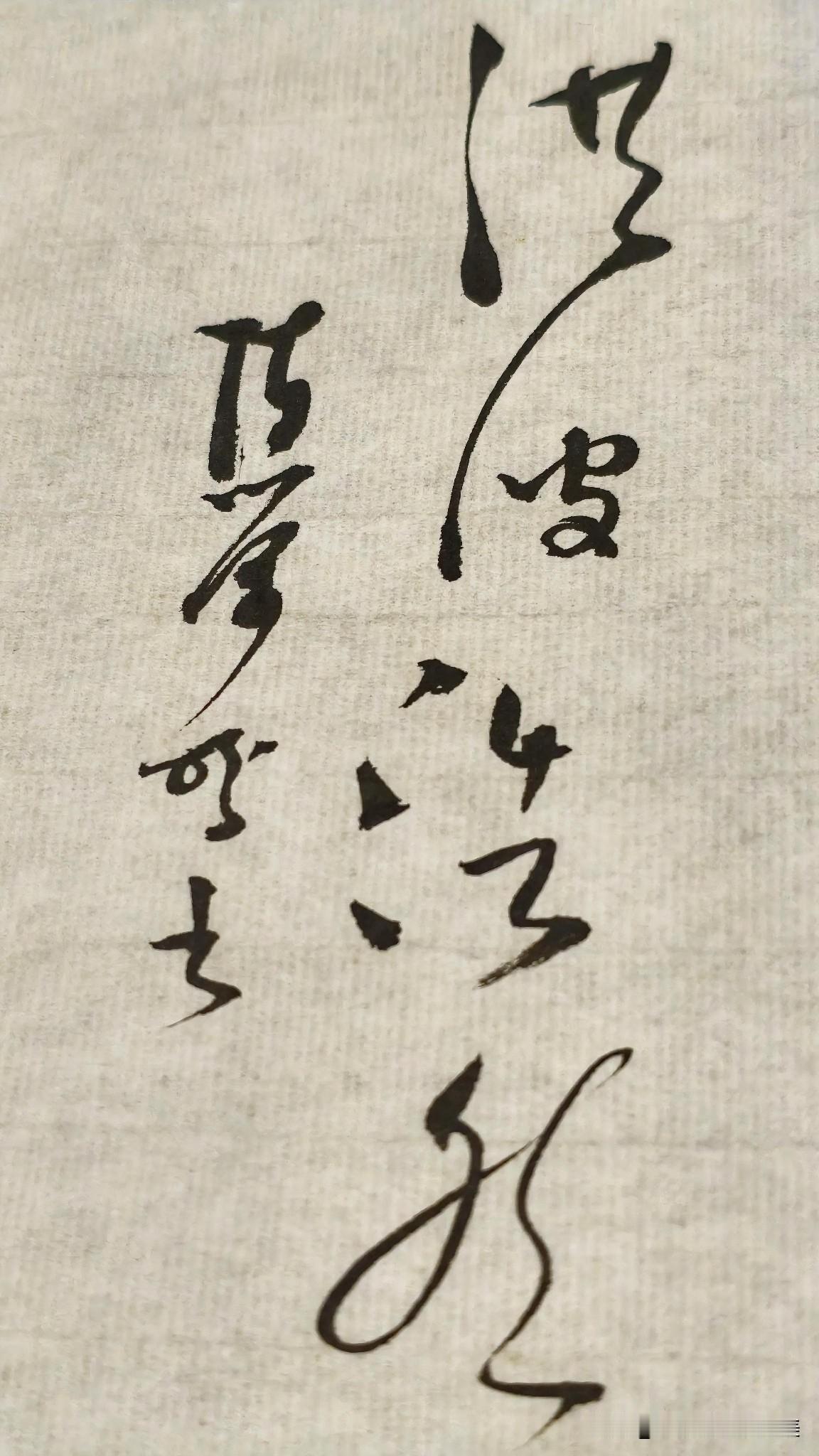 草书精品展示：洪波浩然