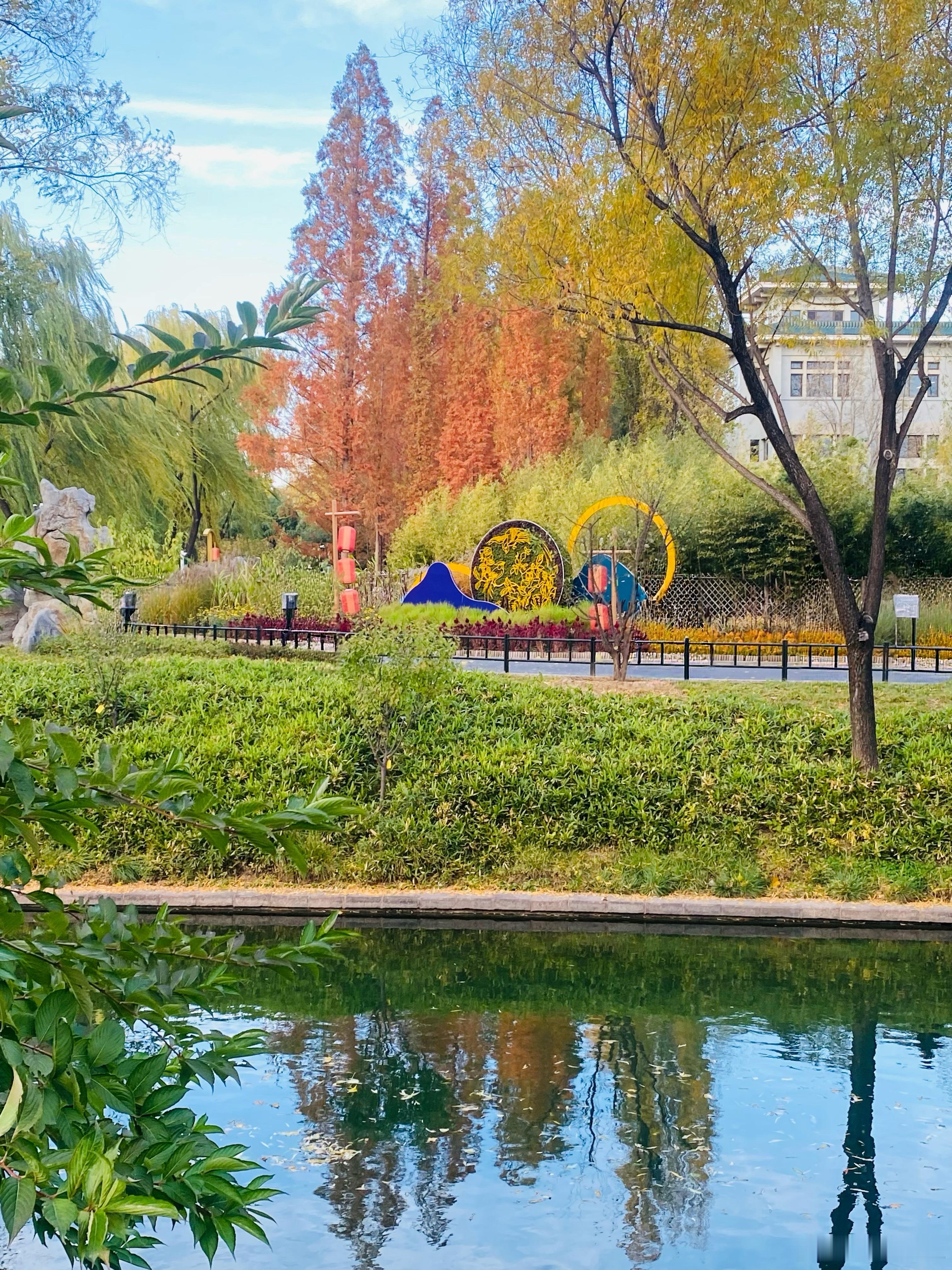 今天天气不错， 中午和闺蜜聚餐后路过紫竹院，忍不住随手拍了几张。 晚安💚 
