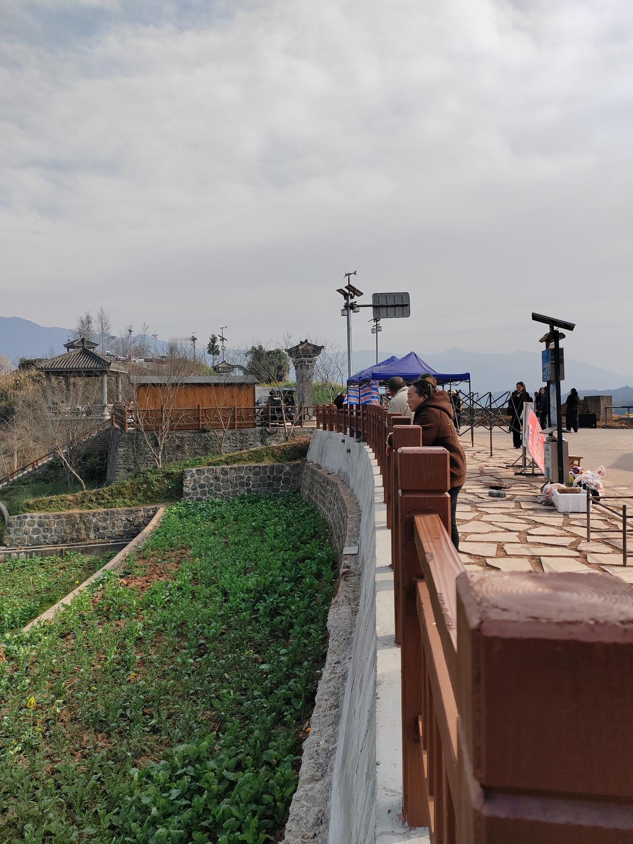 登临芦溪、大同山岗观景台，俯瞰溪田翠谷，远眺山峦云海，天地入怀。