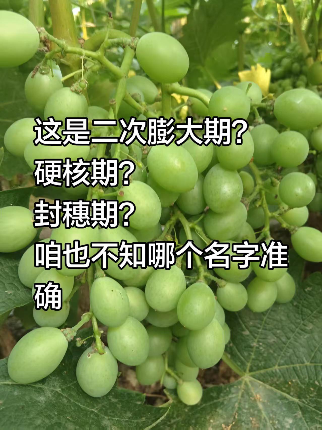 什么时期？