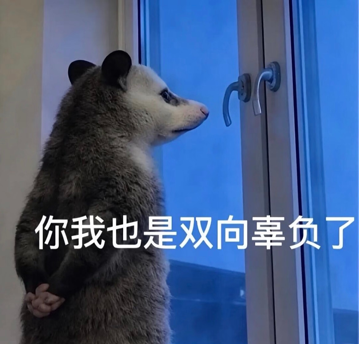 我说这个四公组队 简直有一点胡闹了