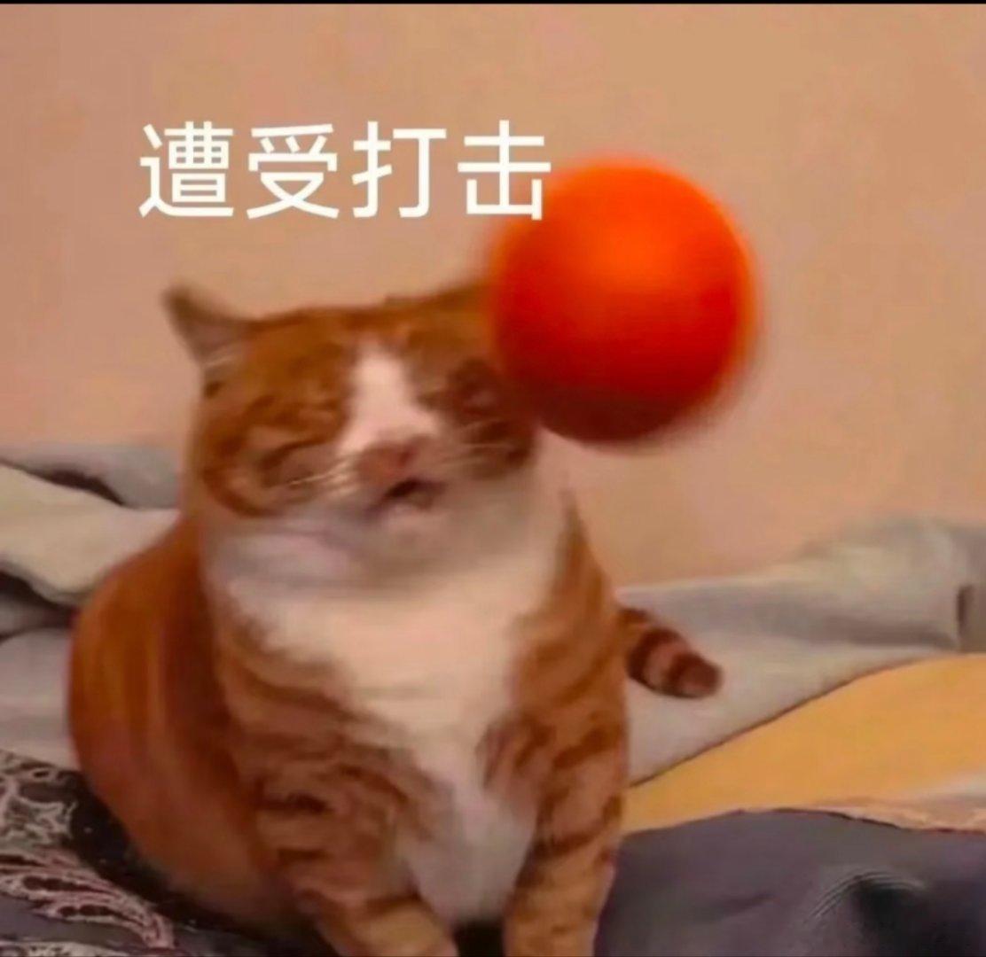 可爱猫猫表情包。 ​​​