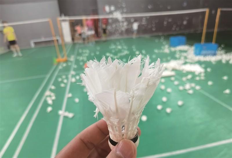 印媒指责中国人引发印度羽毛球价格飙升：他们改吃猪肉，没人养鸭鹅

我们中国人，人