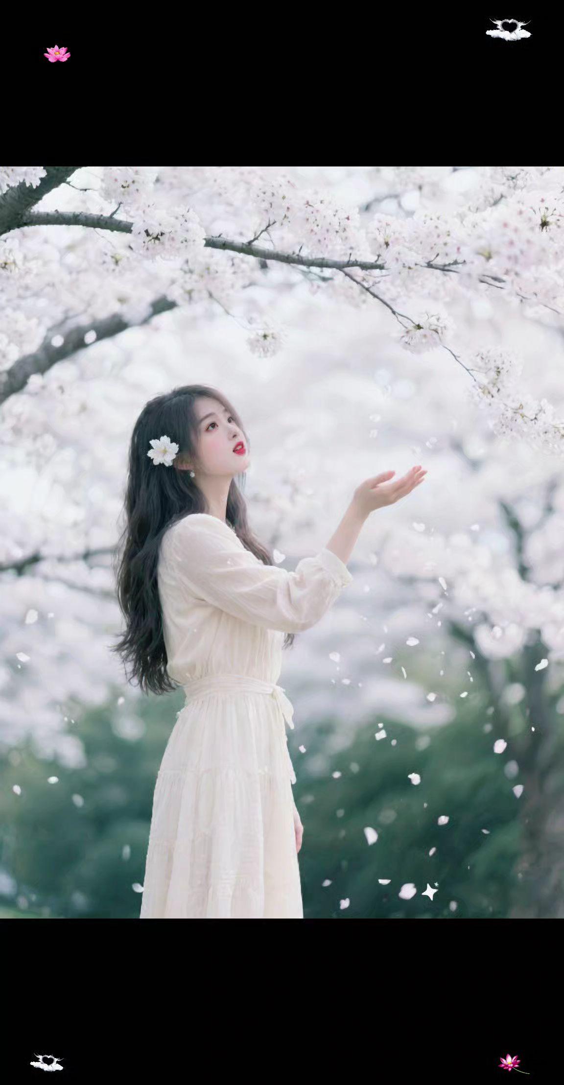 风一吹，樱花就跌进了她的掌心
奶白裙边裹着软乎乎的春，发梢别着的花比落瓣还甜，抬