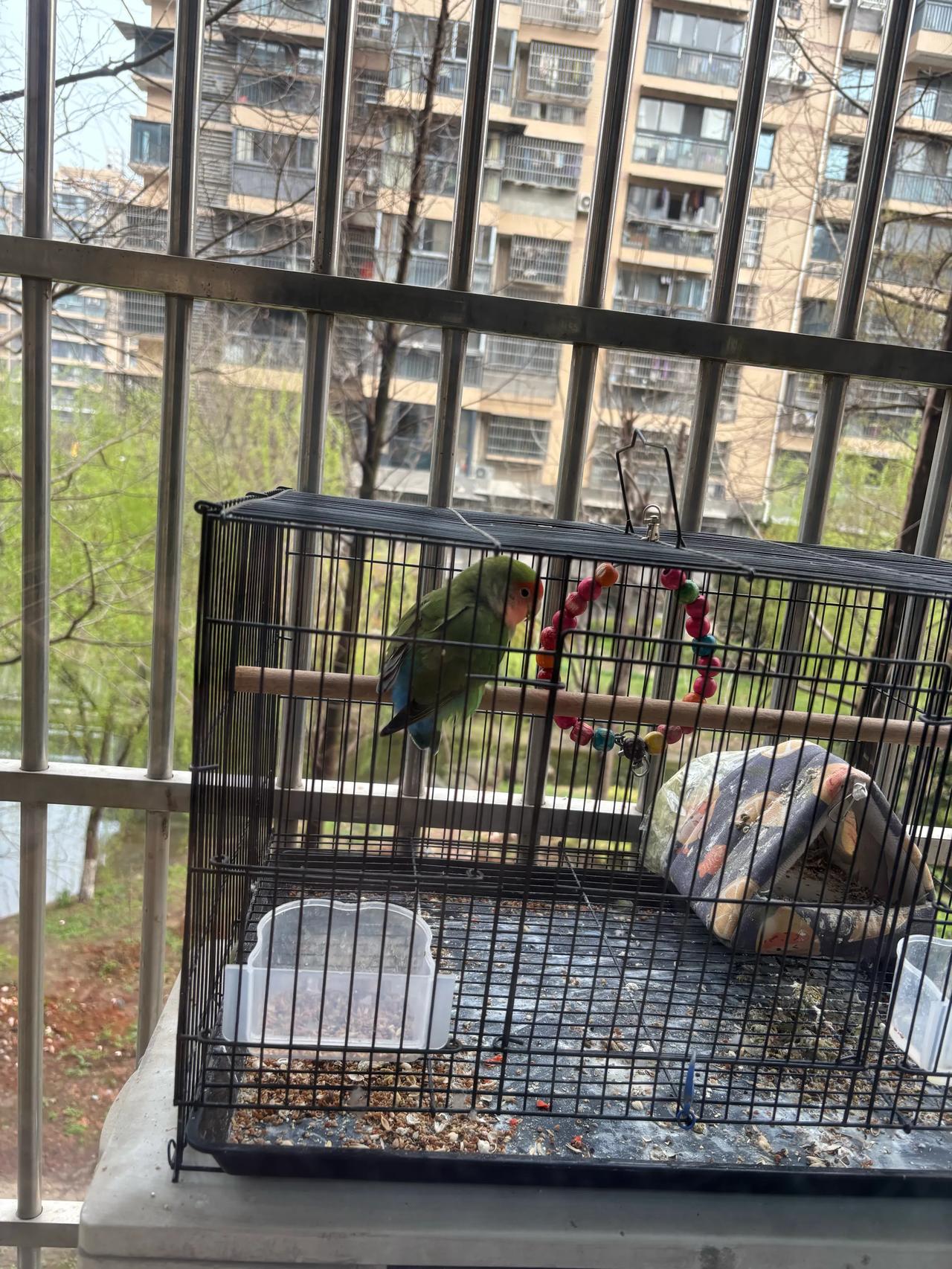 你会有性羞耻吗？
这个家伙一点也不会感到羞耻
每天当着我的面一个劲的“自娱自乐”