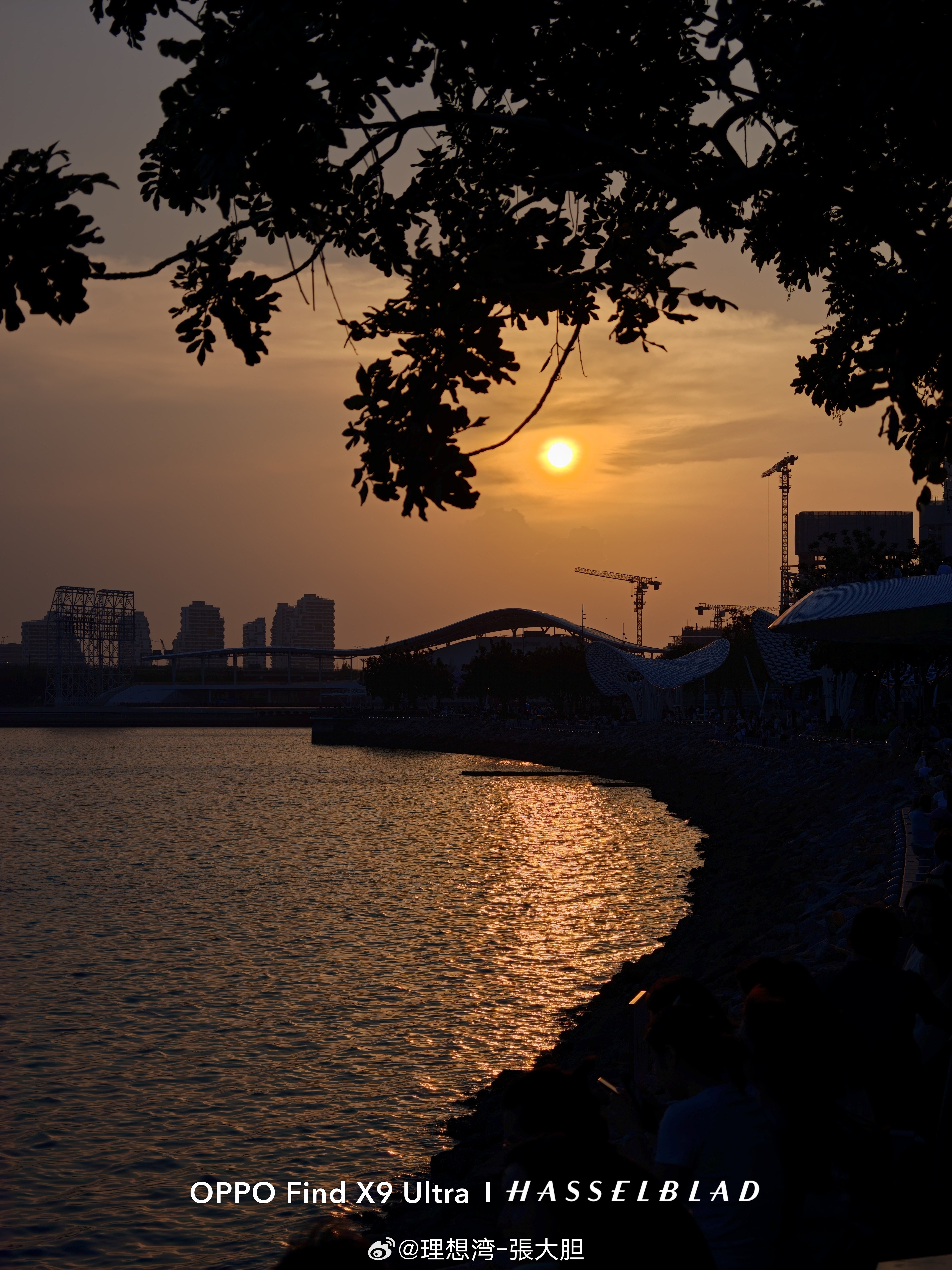 🌇夕阳无限好。 