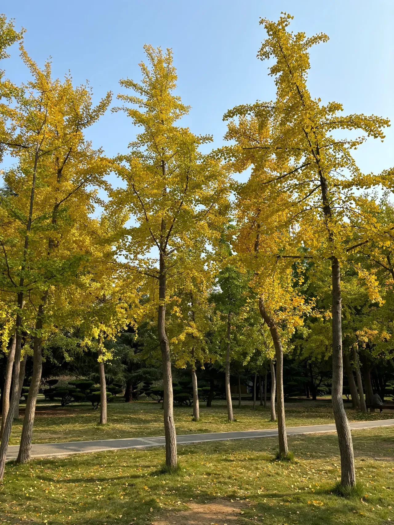 多言多语，如一只有洞的碗，人的精气神，福报，吉祥，多从说话中，流失、漏掉了。