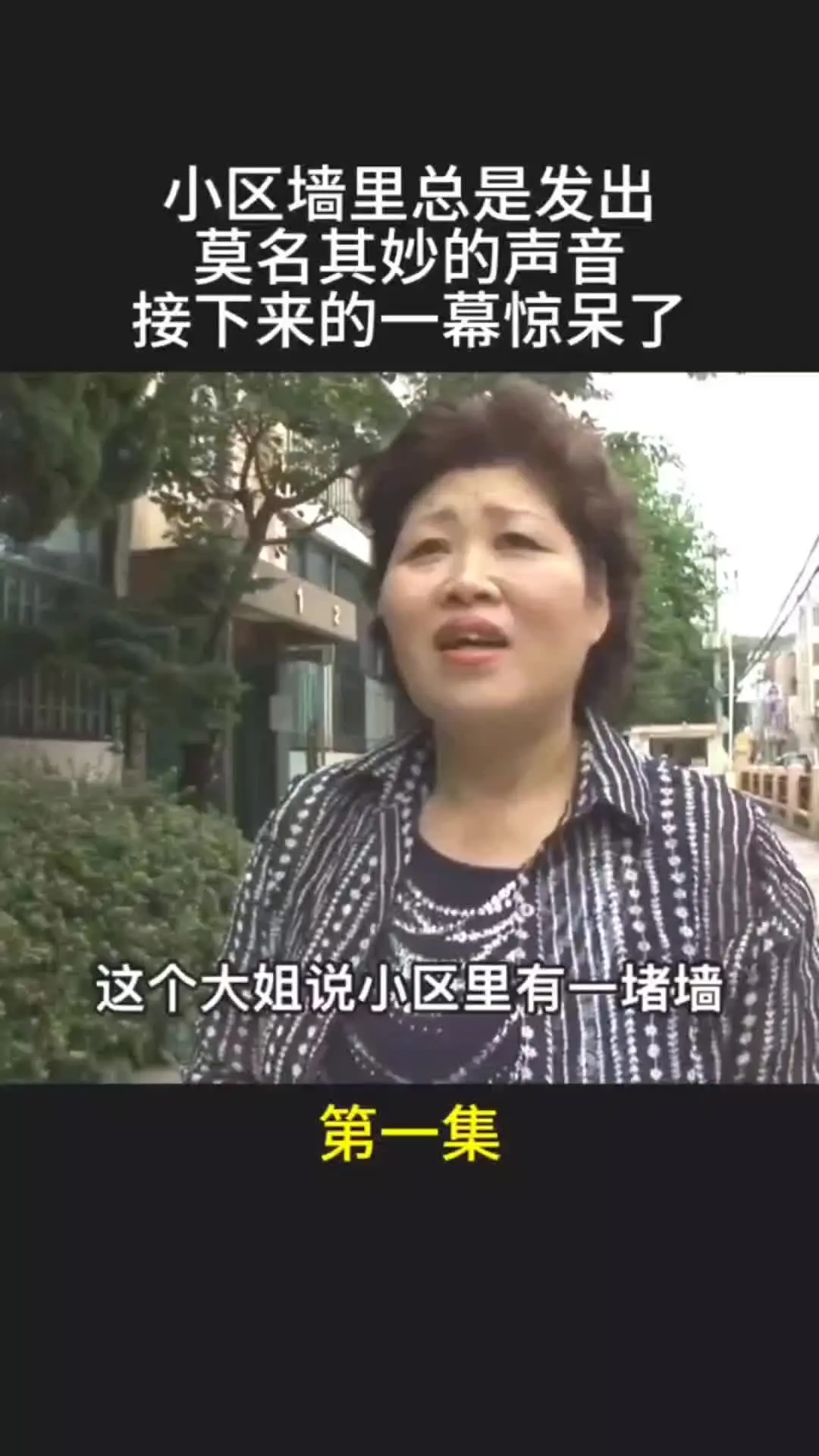 我的观影报告 内容启发搜索 动物世界 神奇动物在