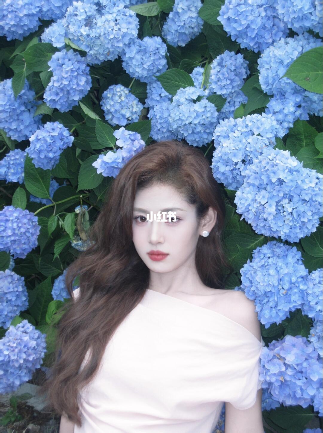 济州岛的莫奈花园🌸