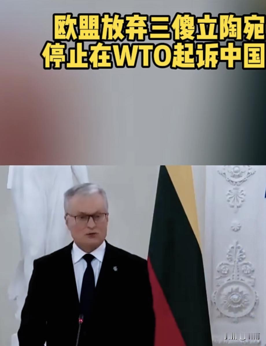 三年闹剧终成笑话！欧盟12月1日突然撤回对华WTO诉讼，直接把立陶宛晾成国际孤家