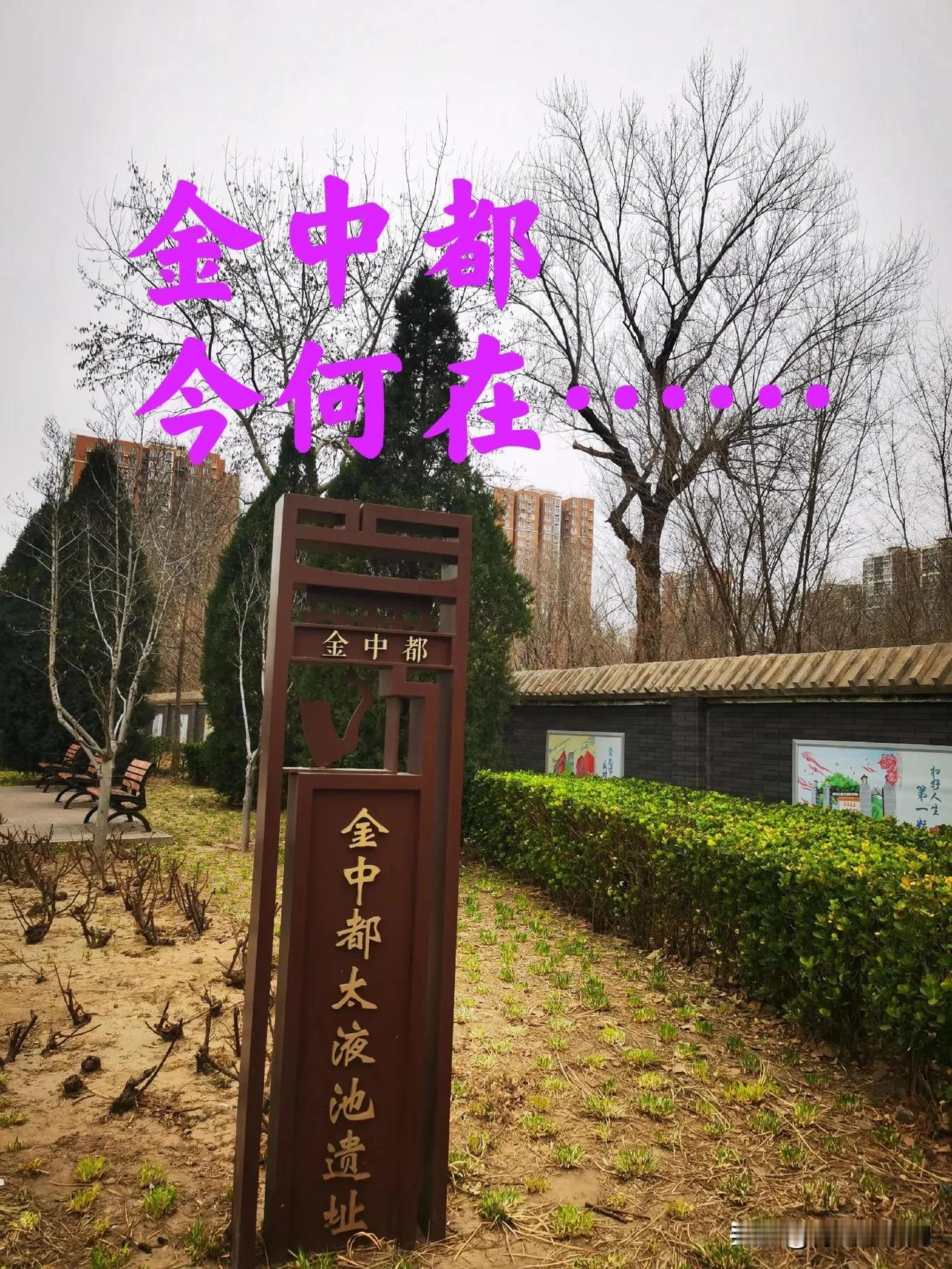 这是金代保留下来的重要皇家园林遗址，这是北京市第三批市级文物保护单位，北京这处8