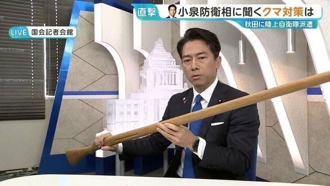 日本熊灾愈演愈烈，自卫队却只拿木棍驱熊，防相小泉出面解释后被骂“脑子不正常”
