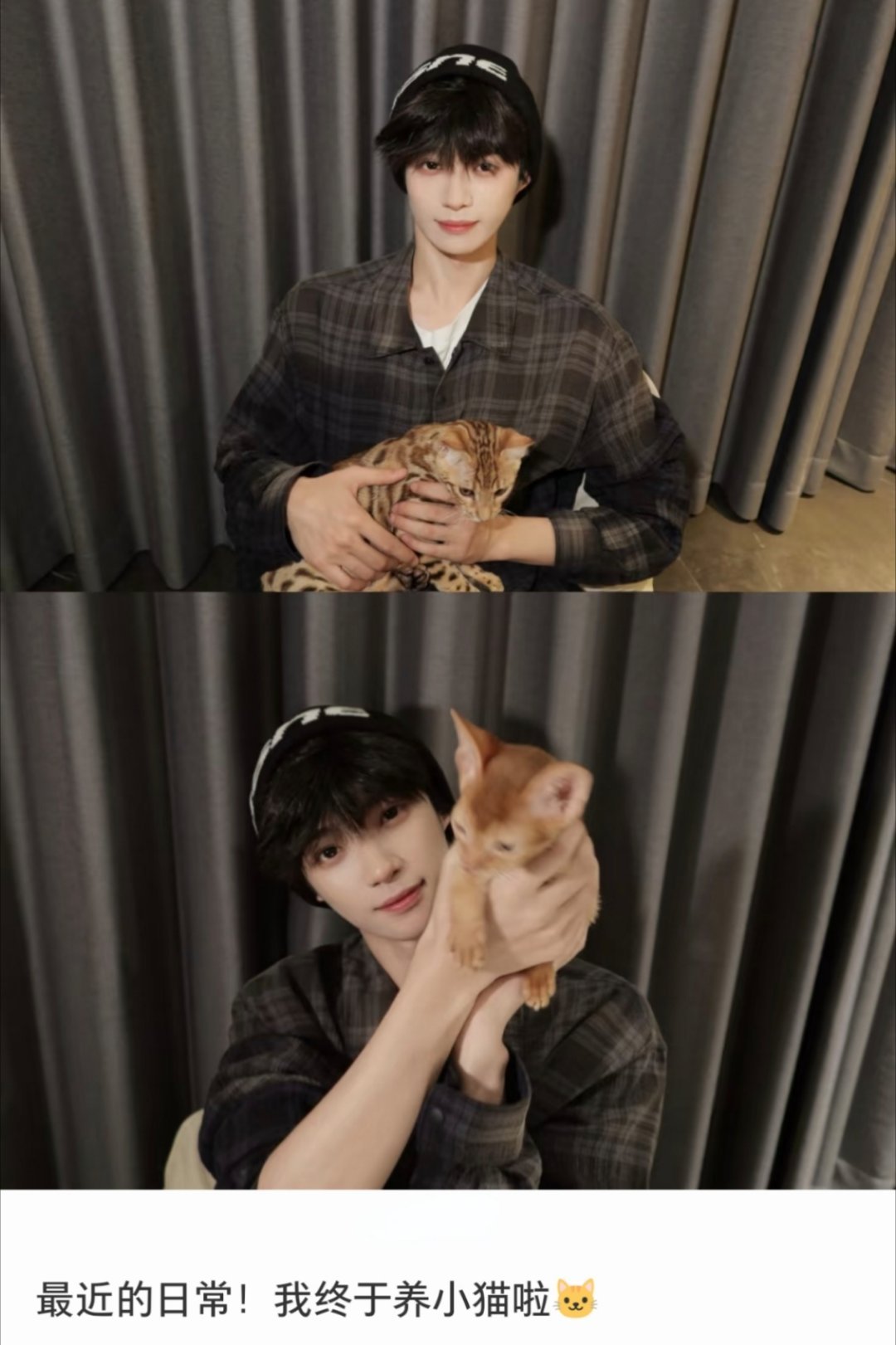 梓渝 大鱼和小十一猫咪界的新星登场！大鱼和小十一在梓渝的怀抱里开始了它们的喵生新