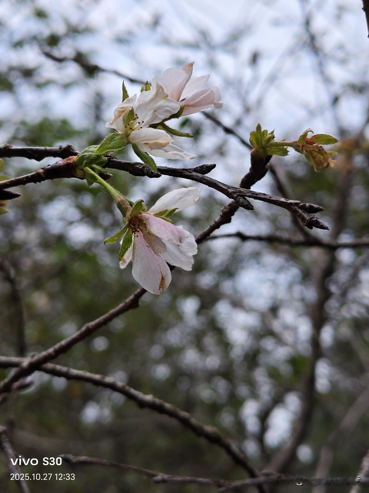 冬日生活打卡季
