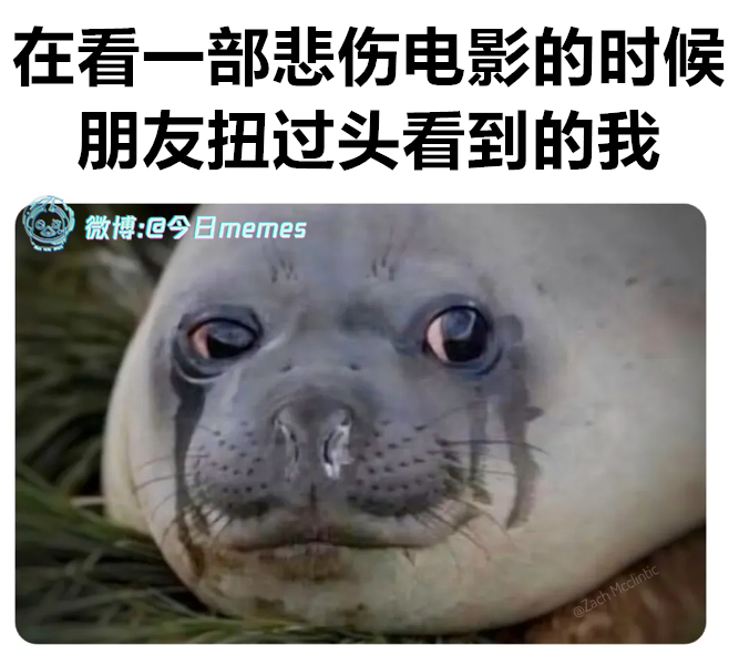 衣服吸水吗（9gag）今日meme 今日memes