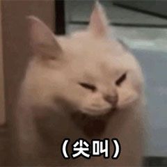 昨天同期14529，现在14407比昨天慢了到中饭时间了，手机拿出来超一下！超了