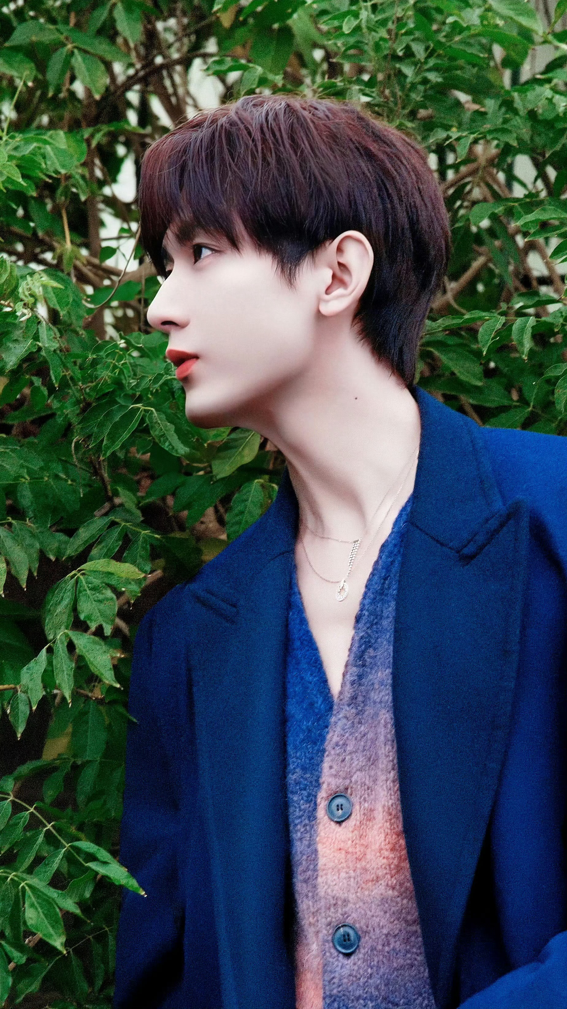 超爱这套费列罗男友颜霸子成毅清冷高贵