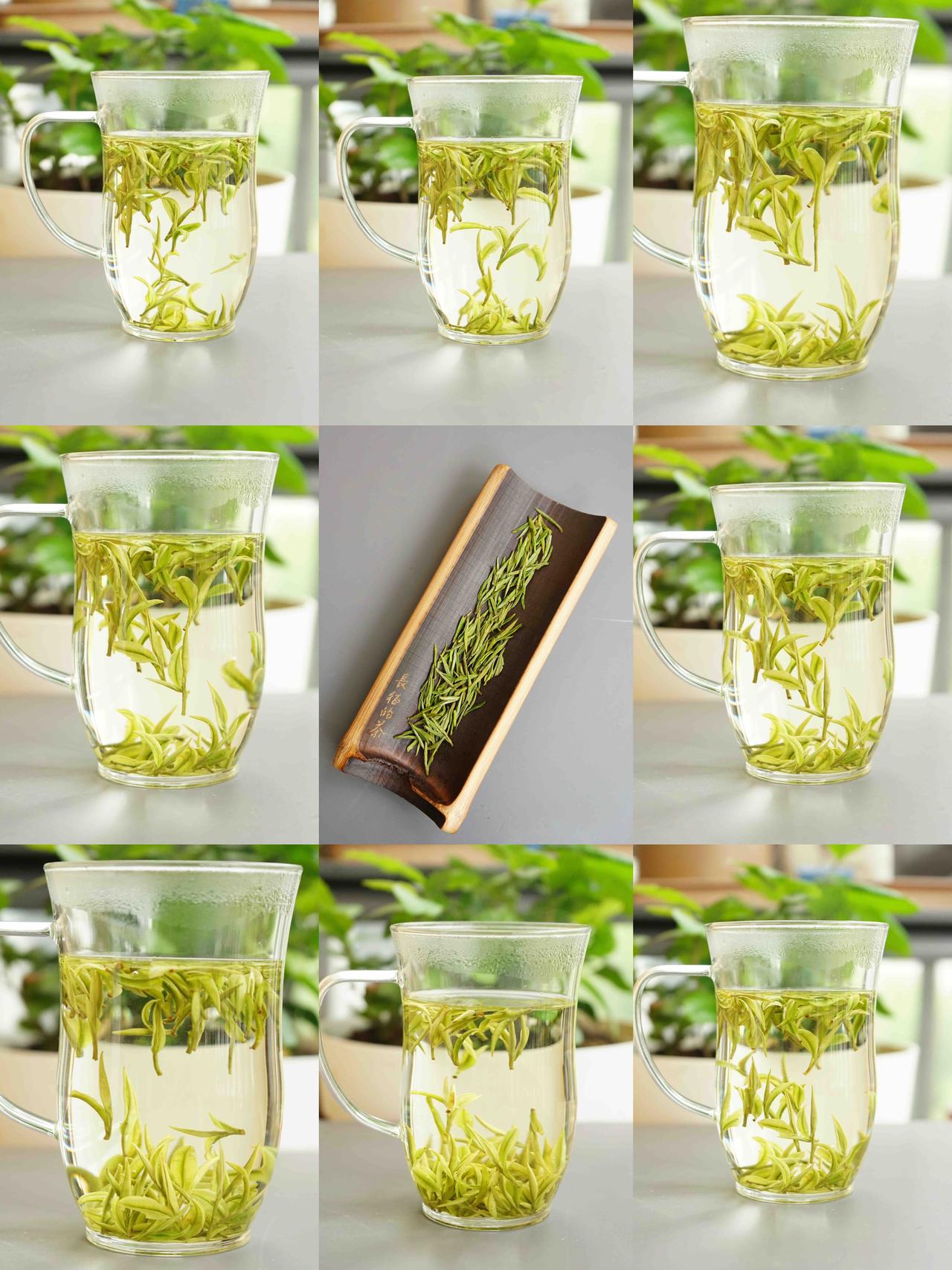自家早期（第三天）的安吉白茶[呲牙]
芽头小，鲜，甜，温杯玉米须鲜甜香，滋味鲜甜