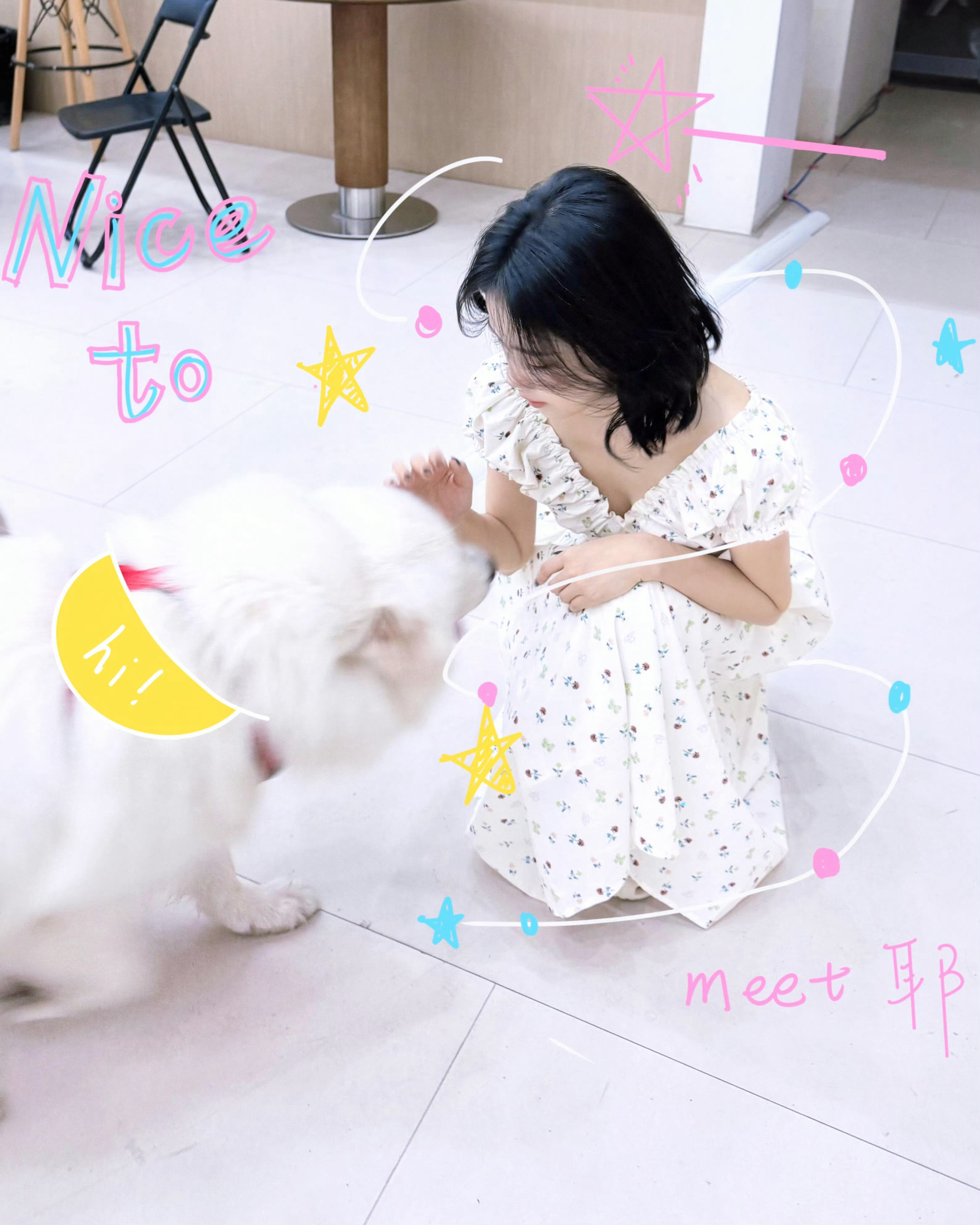 白鹿 🥀白鹿 🥀白鹿王韵娜 🥀💕星星也正在夜空某处彷徨，你的甜美能化解世