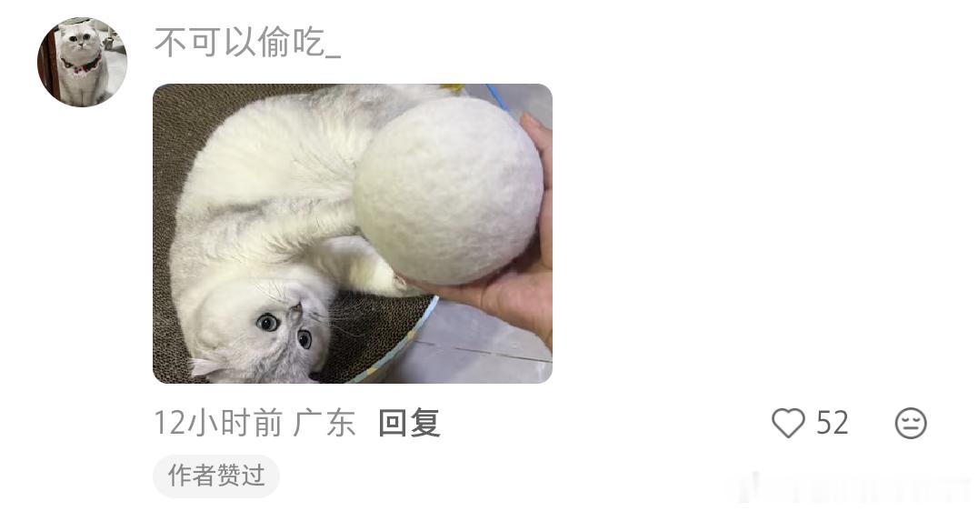 养猫八年的毛（实心版） 