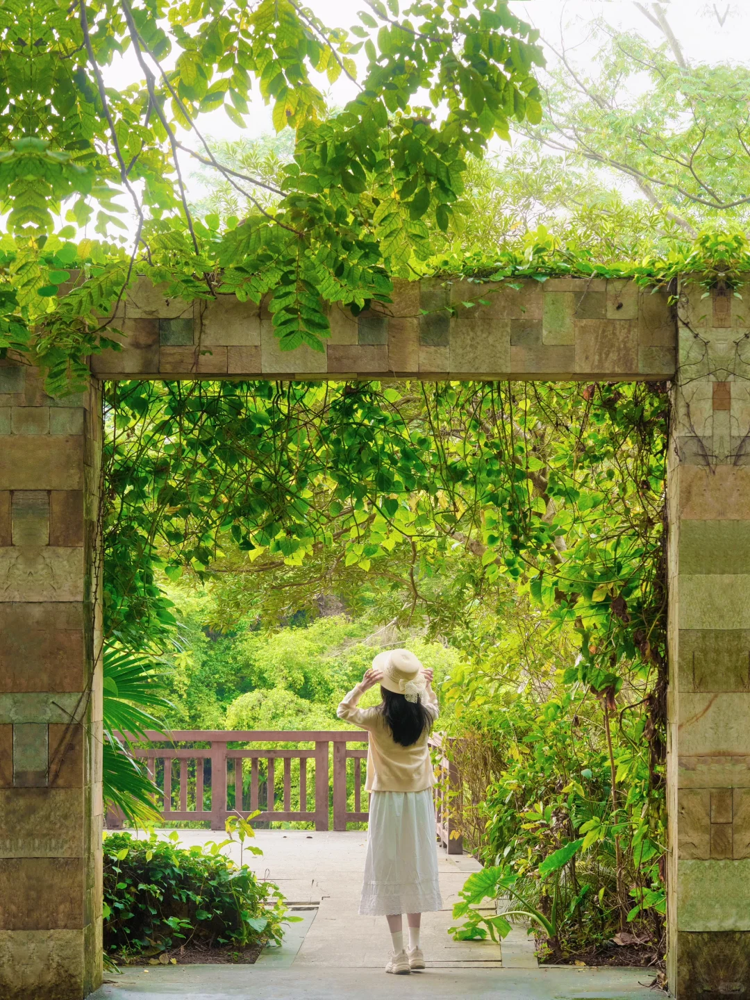 这个广州地铁直达绿光森林🌲我愿意逛一百次