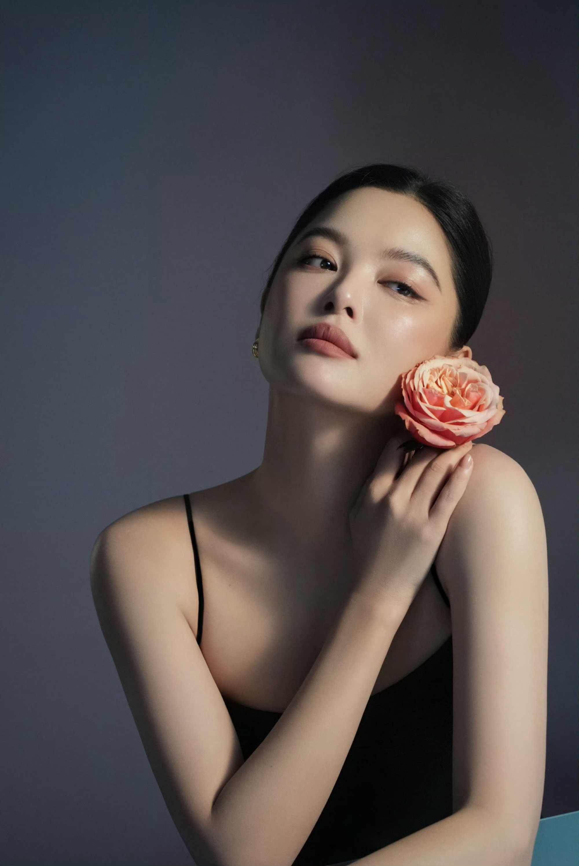 辛芷蕾 