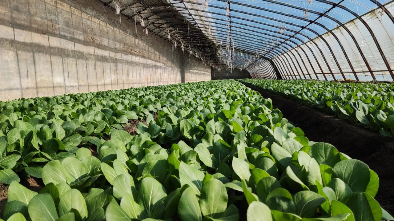 冬日暖阳，真好～～马上就到2026年了，希望一切向好～